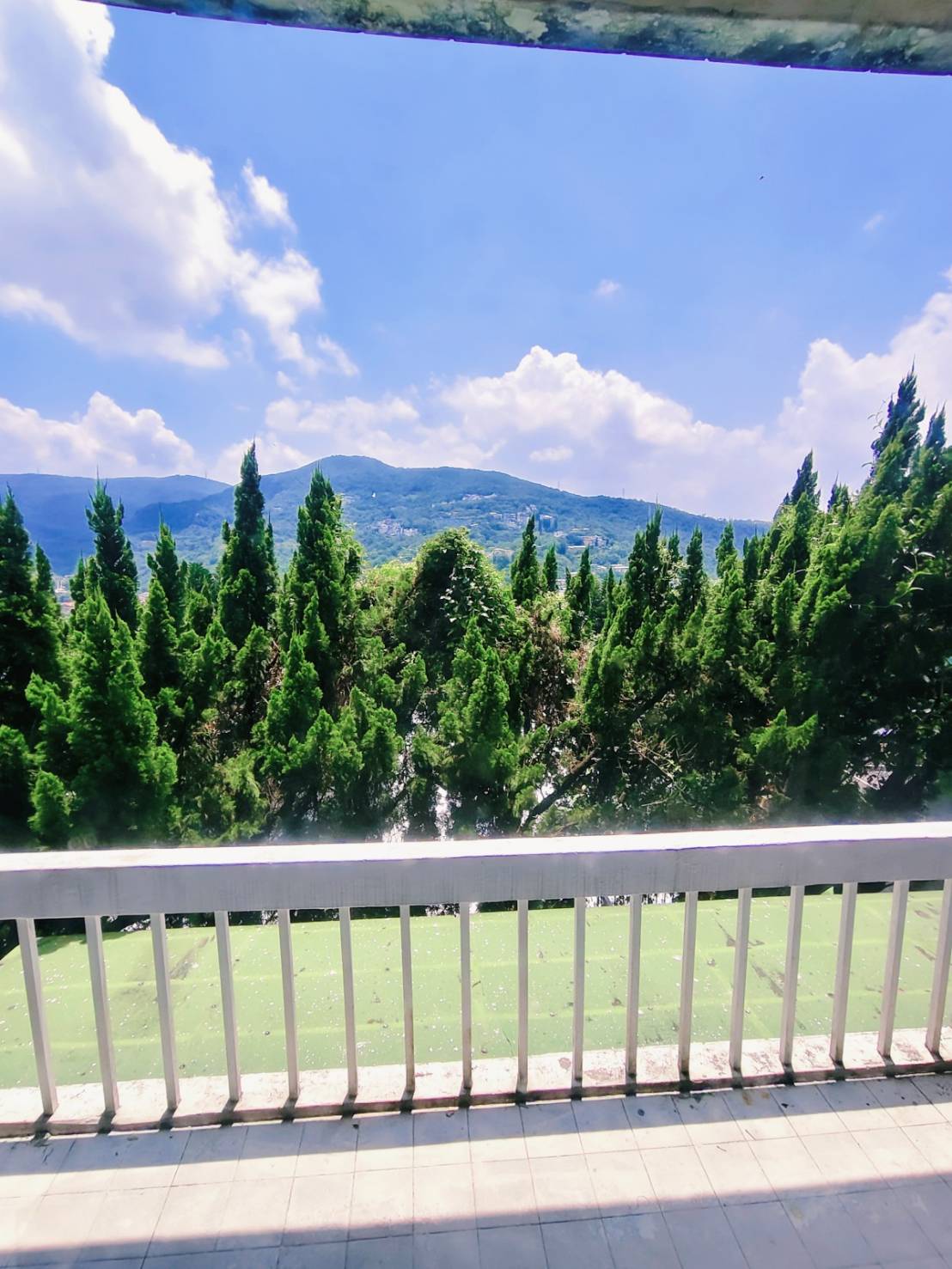 陽台望出去的山景